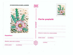 IP 97 - 24 CACTUS, Romania - Stationery - Unused - 1997 - Postal Stationery