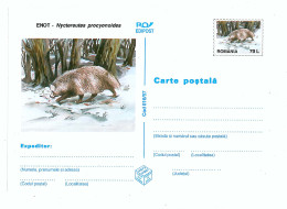 IP 97 - 16 Enot, RACCOON, Valuable For Animals - Stationery - Unused - 1997 - Postal Stationery