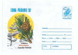 IP 97 - 7 Month Forrest, Romania - Stationery - Unused - 1997 - Postal Stationery