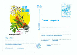 IP 97 - 25 Month Forrest, Romania - Stationery - Unused - 1997 - Postal Stationery