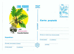 IP 97 - 26 Month Forrest, Romania - Stationery - Unused - 1997 - Postal Stationery