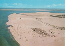 10680 - St. Peter-Ording - Luftbild - Ca. 1975 - St. Peter-Ording