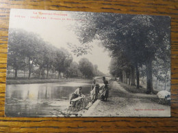 GRISOLLES, TARN ET GARONNE, PAYSAGE AU BORD DU CANAL, CPA - Grisolles