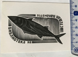 Exlibris Mitko Bakalov. Poisson Bulgarie. Ex-libris Mitko Bakalov. Poisson Bulgarie - Ex-libris