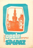 Polish Amateur Radio Station QSL Card Poland Y03CD SP6PAZ - Radio Amatoriale