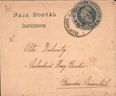 ARGENTINE ENTIER BANDE JOURNAL INTERIEUR - Storia Postale