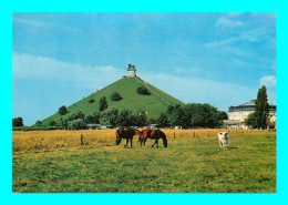 A948 / 061 WATERLOO Champ De Bataille La Butte Et Le Lion - Waterloo