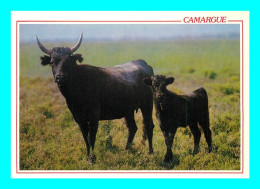 A948 / 499 TAUREAUX Camargue - Toros