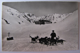 SUISSE - VALAIS - BOURG-SAINT-PIERRE - Hospice Du Grand Saint-Bernard - 1958 - Bourg-Saint-Pierre 