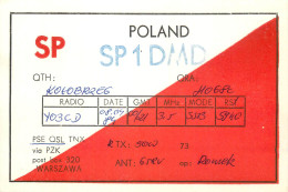 Polish Amateur Radio Station QSL Card Poland Y03CD SP1DMD - Amateurfunk