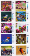 Germany Deutschland Allemagne 2023 Spring Birds Set Of 10 Stamps In Booklet / Sheetlet CITIpost MNH - Moineaux