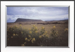 Easter Islands Rapa Nui Isla De Pascua Chile Pacific Oceania Polynesia - Rapa Nui