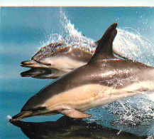 Animaux - Dauphins - CPM - Voir Scans Recto-Verso - Delfini