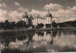 112479 - Moritzburg - Schloss - Moritzburg