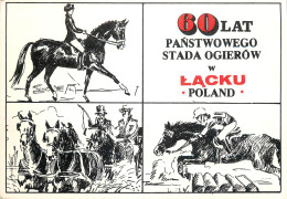 Polish Amateur Radio Station QSL Card Poland Y03CD SP5PJM - Radio-amateur