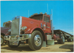 PETERBILT TRUCK - RS FARMS, Madera - (CA., USA) - Transporter & LKW