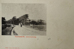 Ternaard (Frl.) Stationsweg Ca 1900 - Andere & Zonder Classificatie