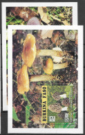 Burkina Faso Mnh ** Champignons Mushrooms Sheets 1996 - Burkina Faso (1984-...)