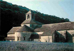 84 - Gordes - Abbaye De Sénanque - Champs De Lavande - CPM - Voir Scans Recto-Verso - Gordes