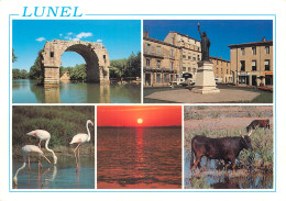 34 - LUNEL - Lunel