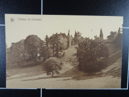 Château De Colonster - Liege