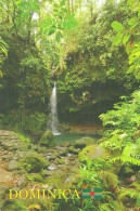 Dominica Island West Indies Caribbean Sea Caribic Antilles Waterfalls - Dominique