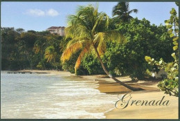 Grenada Island West Indies Caribbean Sea Caribic Antilles - Grenada