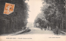 80-BOIS DE CISE-N°3789-H/0117 - Bois-de-Cise