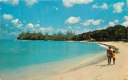 Antilles - Barbades - Barbados - Some Of Barbados Most Beautiful Beaches May Be Found Along The Magnificent West Coast - - Barbades