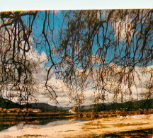 Portugal - Minho - Ponte De Lima - CPM - Carte Neuve - Voir Scans Recto-Verso - Braga