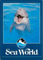 Animaux - Dauphins - Sea World - CPM - Voir Scans Recto-Verso - Delfines