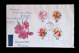 CL, Lettre, Légiposta, Par Avion, Magyar Posta, Hongrie, Budapest, Barack 1964, Fleurs, Fruits,  Frais Fr 1.75e - Poststempel (Marcophilie)