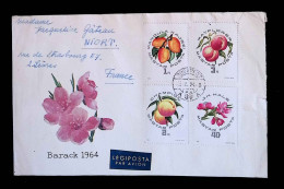 CL, Lettre, Légiposta, Par Avion, Magyar Posta, Hongrie, Budapest, Barack 1964, Fleurs, Fruits,  Frais Fr 1.75e - Marcofilie