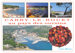 13-CARRY LE ROUET-N°3841-D/0179 - Carry-le-Rouet