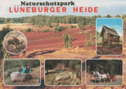 27040 - Lüneburger Heide - Ca. 1995 - Lüneburger Heide