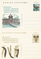 Poland Postcard Cp 258-59 Set.2: Biskupin Archaeological Excavations Defensive Stronghold - Entiers Postaux