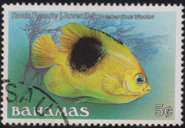 1986 Bahamas ° Mi:BS 618XI, Sn:BS 604, Yt:BS 602, Sg:BS 758A, Rock Beauty (Holacanthus Tricolor), Fish Definitives - Bahama's (1973-...)