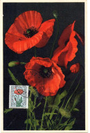 FLEUR + COQUELICOT = BELGIQUE 1949 = CARTE MAXIMUM + N° Yvert 817 - Other & Unclassified