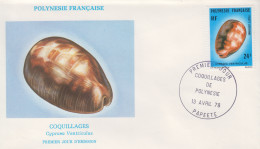 Enveloppe  FDC  1er  Jour    POLYNESIE   Coquillage   1978 - FDC