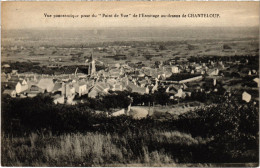 CPA CHANTELOUP Vue Panoramique De La Seine (1386574) - Chanteloup Les Vignes