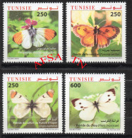 2014 Papillons / / 2014 Butterflies - Tunisia