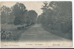 Brasschaat - Brasschaet - Le Voshol - Les Orangers  - Brasschaat