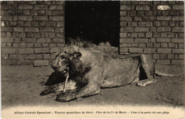 PC MALAWI NYASALAND LION A LA PORTE DE SON PIEGE (a53648) - Malawi