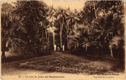 PC MAURITIUS ILE MAURICE UN COIN DU JARDIN DES PAMPLEMOUSSES (a53223) - Maurice