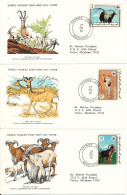 Mauritania FDC WWF Stamps 27-2-1978 With WWF Panda On The Stamps Set Of 3 On 3 Covers With Cachet - FDC