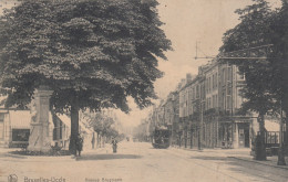 Bruxelles - Uccle - Avenue Brugmann - Tram - Uccle - Ukkel