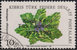 1983 Nord Zypern ° Mi:TR-NC 138, Sn:TR-NC 138, Yt:TR-NC 123, Sg:TR-NC 144, Overprint Blumen - Usados