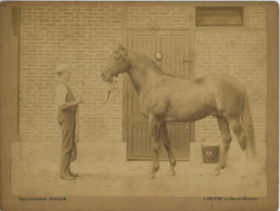 Photo De Jean Delton D Hippisme Au Bois De Boulogne, Photo Albuminée Du 19 ème Siècle - Sporten