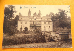 BOUSSU  -  Le Château - Boussu