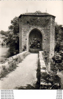 D64  SAUVETERRE-DE-BEARN  Le Pont De La Légende  ..... - Sauveterre De Bearn